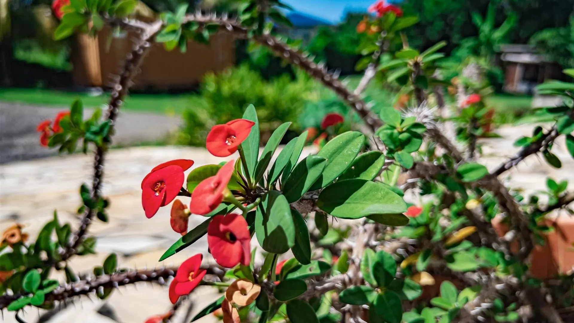 בית כפרי לה מול Promo Vacances 2025 ! Domaine Nature & Serenite A 5 Min De La Plage